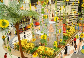 Sunflowers Al Wahda mall